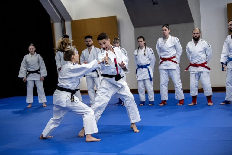 jujitsu